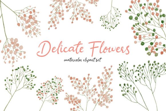 Download Delicate Flowers Hand-drawn Flower Set - Delicate Collection